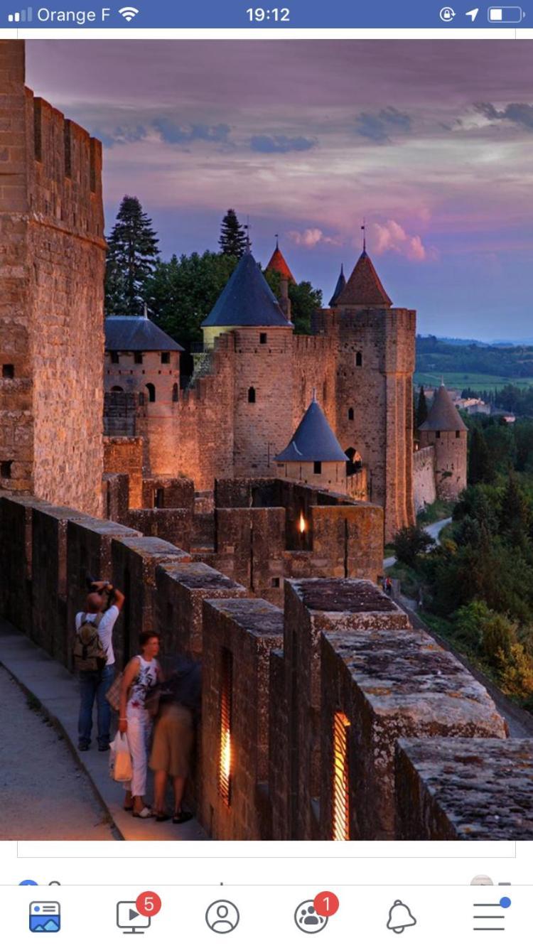 Villa L'Oree De La Cite Carcassonne Exterior foto